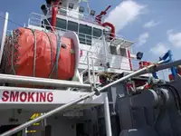 বাল্ক বাহক বিক্রির জন্য