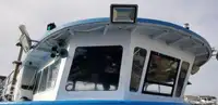 ক্যাটামারান বিক্রির জন্য
