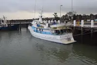 কাটার বিক্রির জন্য
