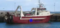 Large freezer trawler বিক্রির জন্য