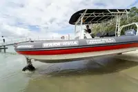 অ্যাম্ফিবিয়াস বিক্রির জন্য
