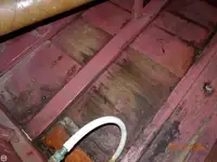 কাটার বিক্রির জন্য