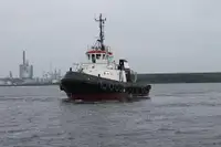 টাউবোট বিক্রির জন্য