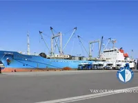 রেফার জাহাজ বিক্রির জন্য