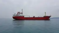 বাল্ক ক্যারিয়ার বিক্রির জন্য