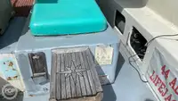 ক্রুজ জাহাজ বিক্রির জন্য