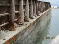 বার্জ বিক্রির জন্য