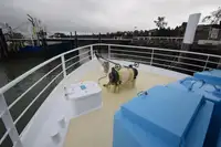 কাটার বিক্রির জন্য