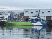 ওয়ার্ক বোট বিক্রির জন্য