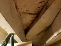 ফেরি জাহাজ বিক্রির জন্য