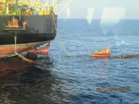 বাল্ক বাহক বিক্রির জন্য