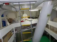 বাল্ক বাহক বিক্রির জন্য