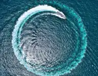 প্যাট্রোল বোট বিক্রির জন্য