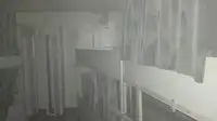 প্যাট্রোল বোট বিক্রির জন্য