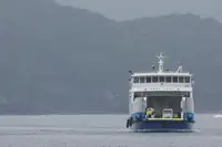 রো-রো জাহাজ বিক্রির জন্য