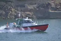 টহল নৌকা বিক্রির জন্য