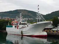 Trawler বিক্রির জন্য