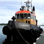 টাউবোট বিক্রির জন্য