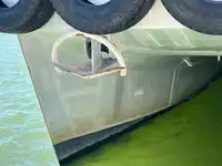 ক্যাটামারান বিক্রির জন্য