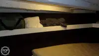 ডাইভ সাপোর্ট বিক্রির জন্য