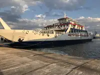 Ro-Ro ship বিক্রির জন্য