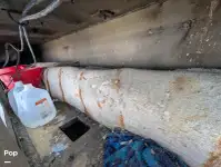 ক্রুজফেরি বিক্রির জন্য