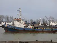 টাউবোট বিক্রির জন্য