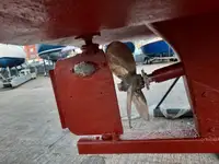 কাটার বিক্রির জন্য
