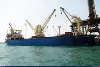 বাল্ক ক্যারিয়ার বিক্রির জন্য