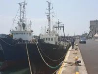 ট্রলার বিক্রির জন্য