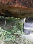 বার্জ বিক্রির জন্য