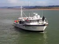 লংলাইনার বিক্রির জন্য