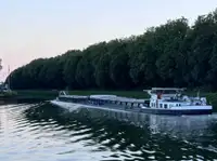 বাল্ক বাহক বিক্রির জন্য