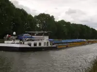 বাল্ক বাহক বিক্রির জন্য