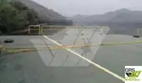 বার্জ বিক্রির জন্য