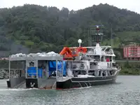 পার্স সেইনার বিক্রির জন্য