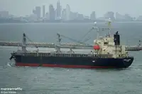 বাল্ক বাহক বিক্রির জন্য