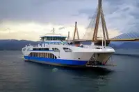 ফেরি জাহাজ বিক্রির জন্য
