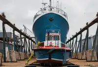 পার্স সেইনার বিক্রির জন্য