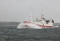 Trawler বিক্রির জন্য