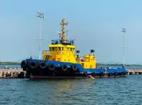 টাউবোট বিক্রির জন্য