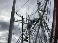 ট্রলার বিক্রির জন্য
