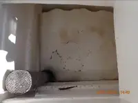 পার্স সেইনার বিক্রির জন্য