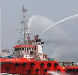 টাউবোট বিক্রির জন্য