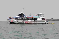 ক্যাটামারান বিক্রির জন্য