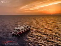 ডাইভ সাপোর্ট বিক্রির জন্য