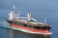 বাল্ক ক্যারিয়ার বিক্রির জন্য