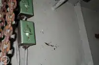 টগবোট বিক্রির জন্য