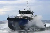 বহুমুখী বিক্রির জন্য