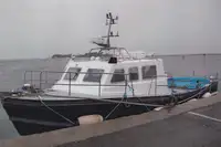 ওয়ার্ক বোট বিক্রির জন্য